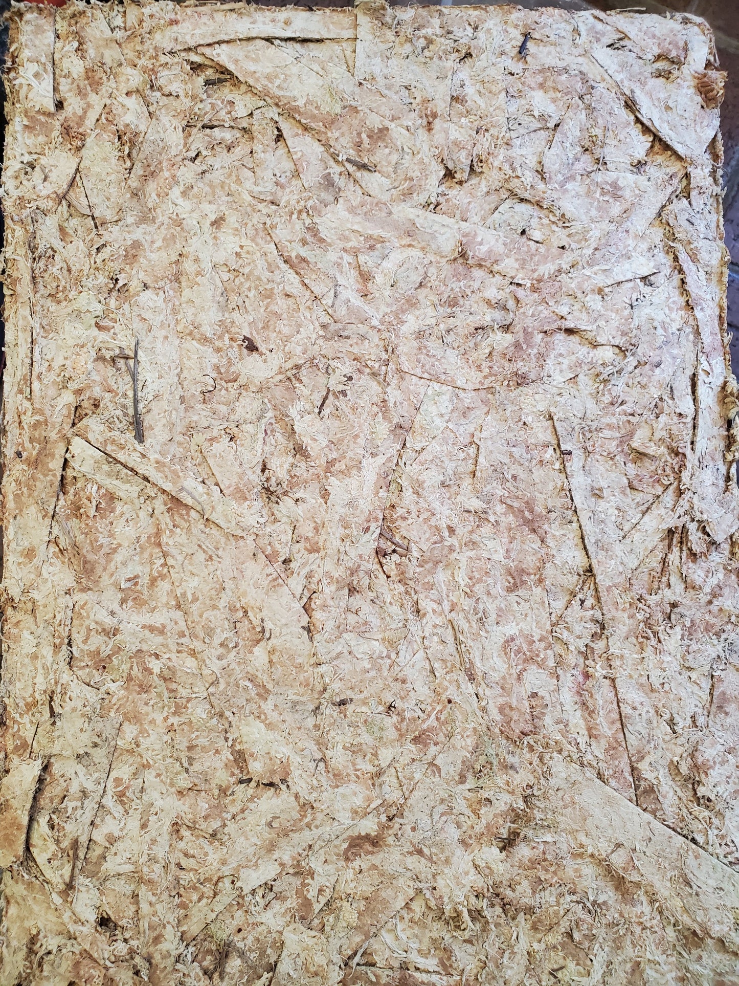New Zealand Sphagnum Moss Supercompressed Short Strand 40L