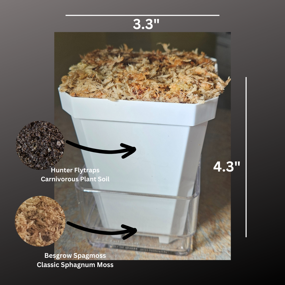 plant pot water catcher 3.3" Pre-filled Pot with Water Tray