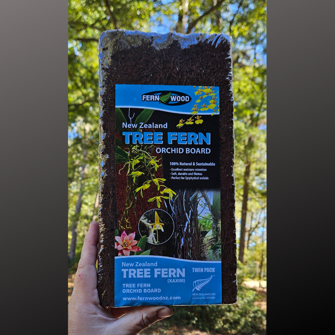 32 Inch Tree Fern Plant - Regular or Fire Retardant