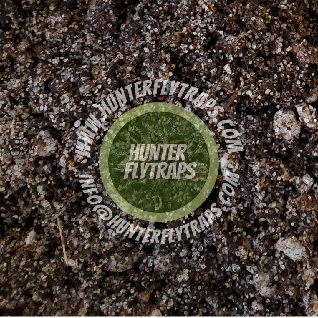 Hunter Flytraps Carnivorous Plant Soil Mix - 1 gallon