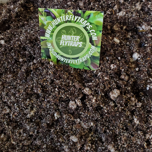 Hunter Flytraps Carnivorous Plant Soil Mix - 1 gallon