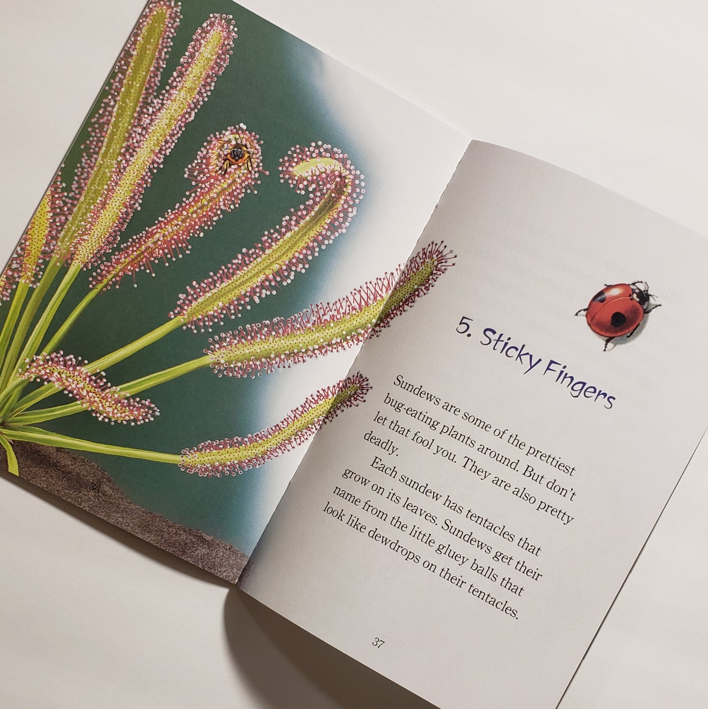 Hungry Plants book