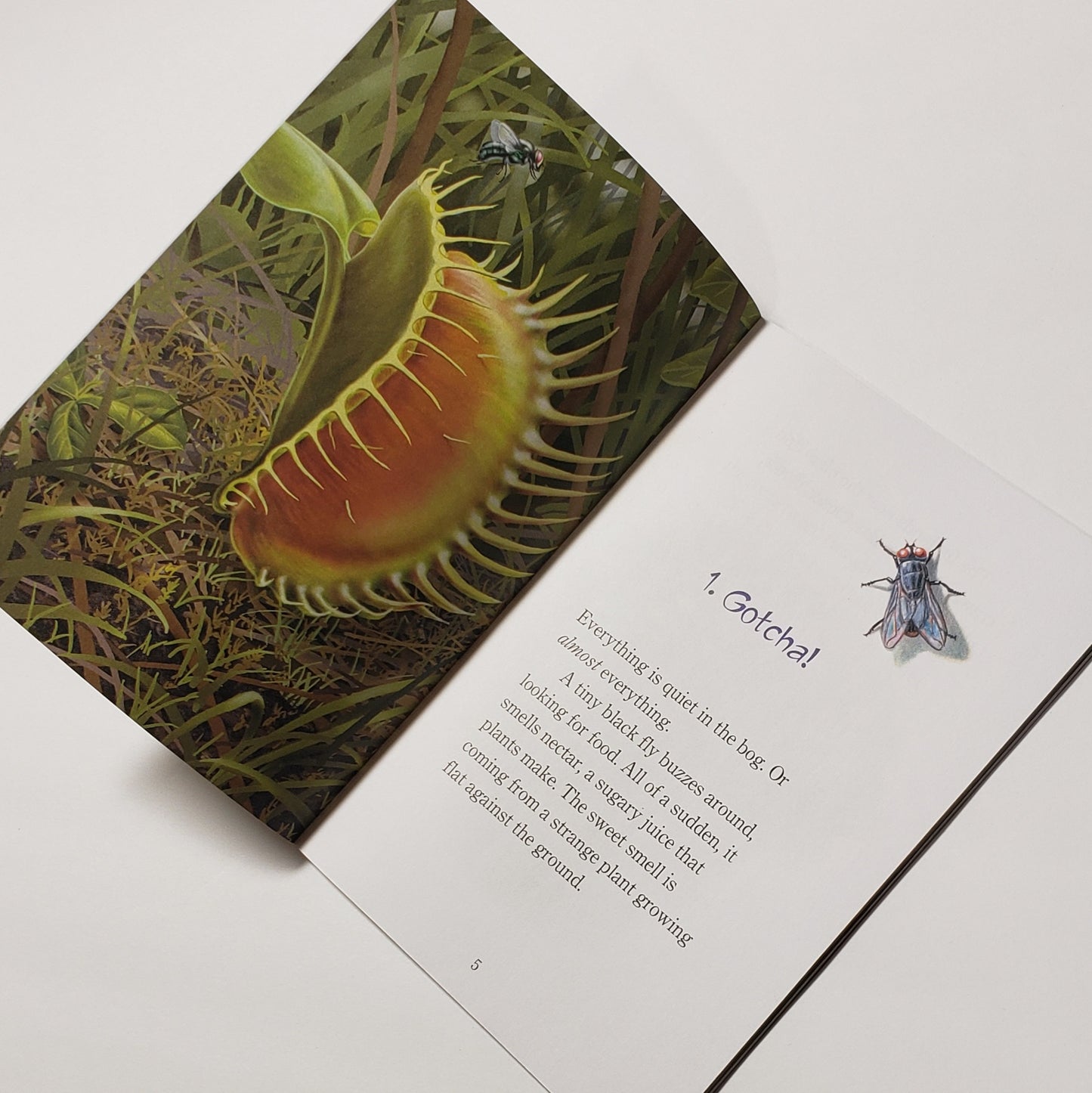 Hungry Plants book