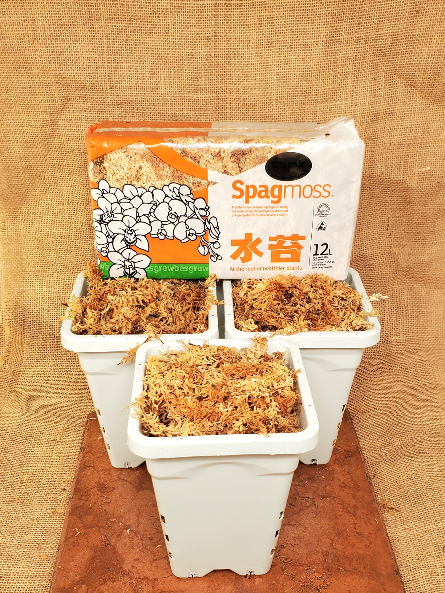 Pots, Large (3) with 12L Besgrow Classic Long Fiber Sphagnum Moss
