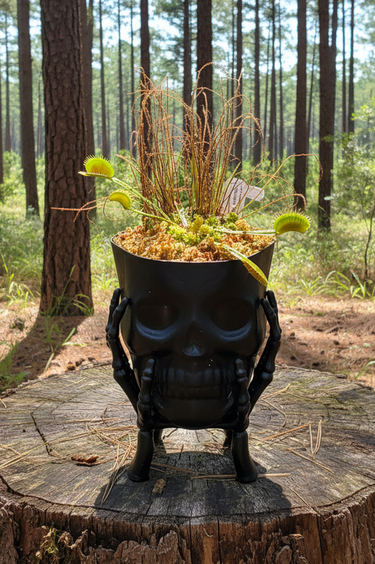 Decorative urn with plants on a wooden stump in a forest setting