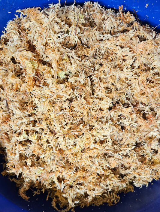 New Zealand Sphagnum Moss Supercompressed Short Strand 40L