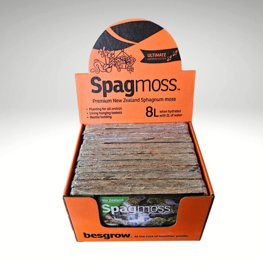 Besgrow New Zealand Spagmoss 100 Gram/8L Compressed Brick - FREE SHIPPING