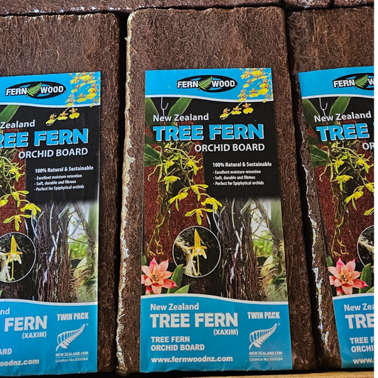 FERNWOOD New Zealand Tree Fern Orchid Board Twin Pack - 12" × 6", 1" thick.