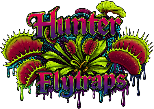 Racerback Hunter Flytraps Pink Splat