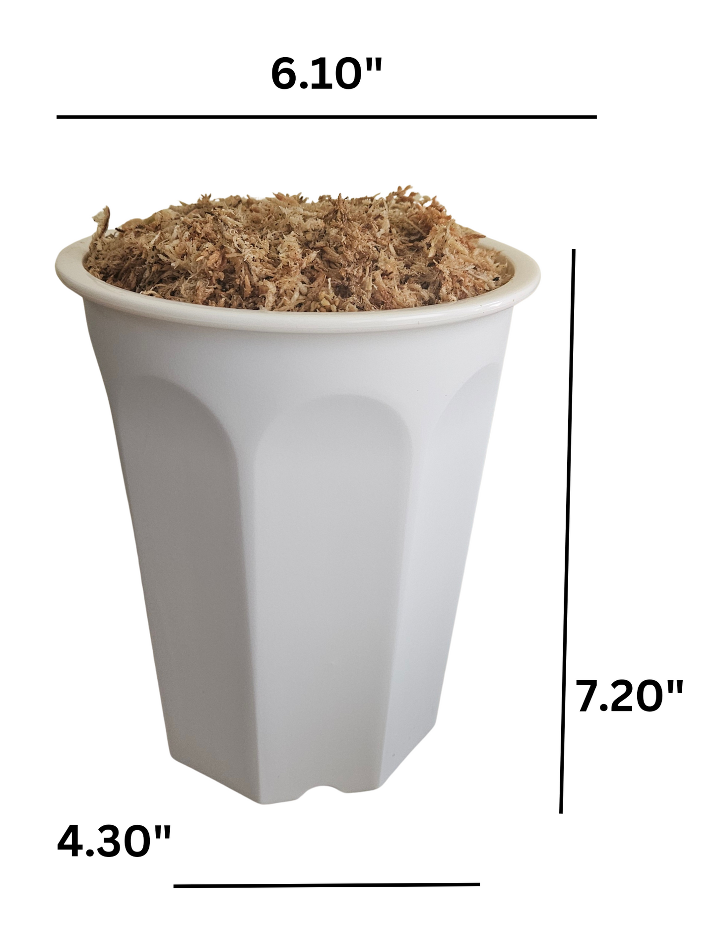 6" Prefilled Pot for Repotting