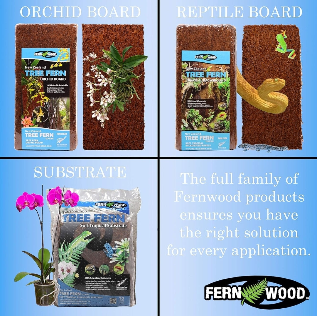 FERNWOOD New Zealand Tree Fern Orchid Board Twin Pack - 12" × 6", 1" thick.