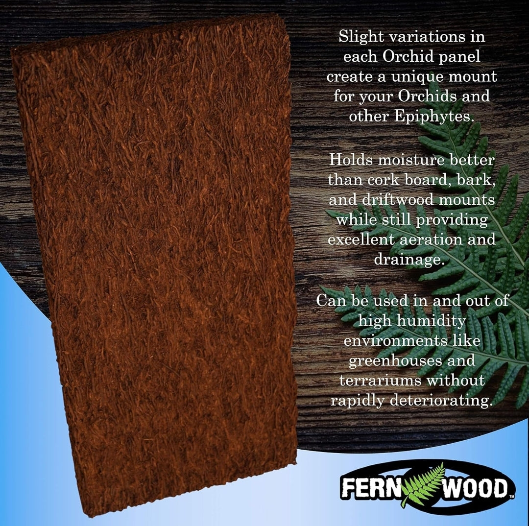 FERNWOOD New Zealand Tree Fern Orchid Board Twin Pack - 12" × 6", 1" thick.