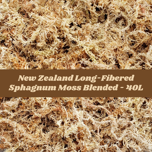 New Zealand Sphagnum Moss Blended 40L/500 Gram