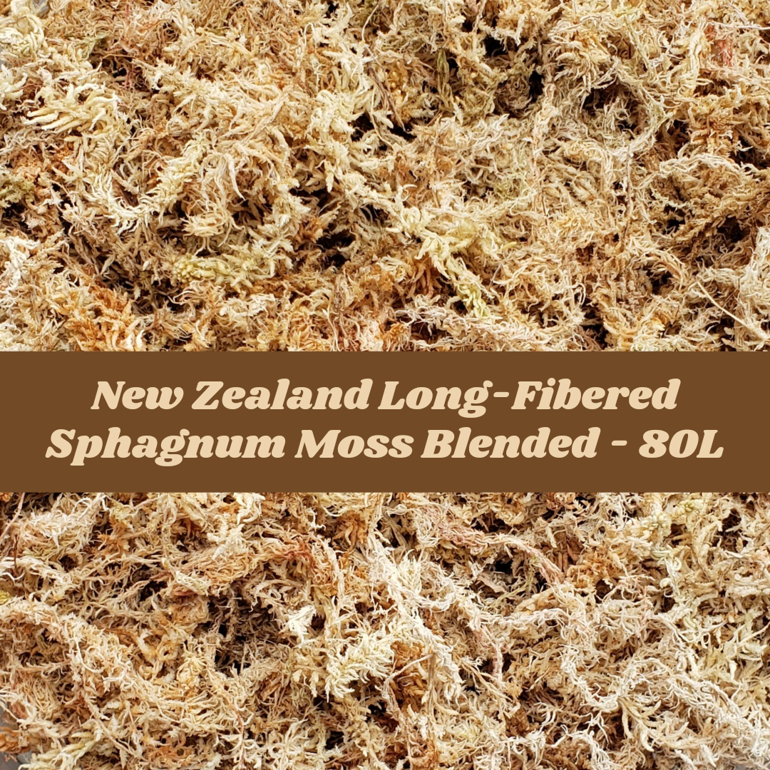 New Zealand Sphagnum Moss Blended 80L/1Kg