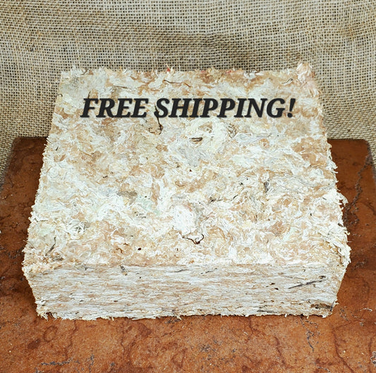 New Zealand (Besgrow repackaged) Sphagnum Moss Supercompressed Classic 40L