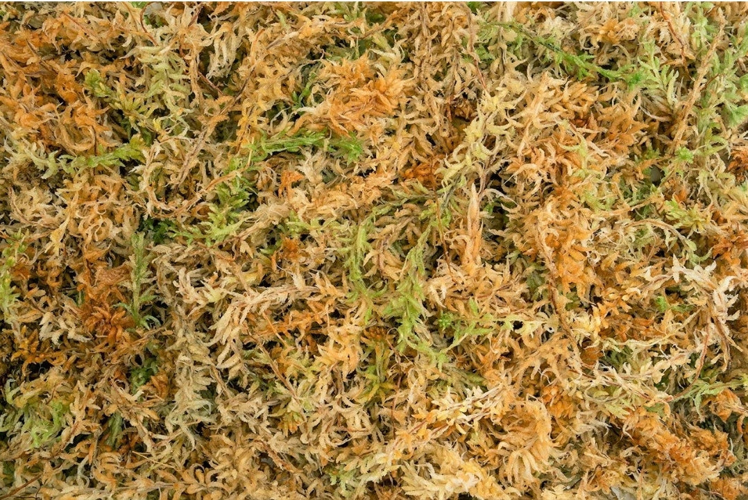 Besgrow Spagmoss Classic, 40L (long-fibered sphagnum moss)